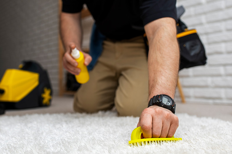 RUG CLEANING